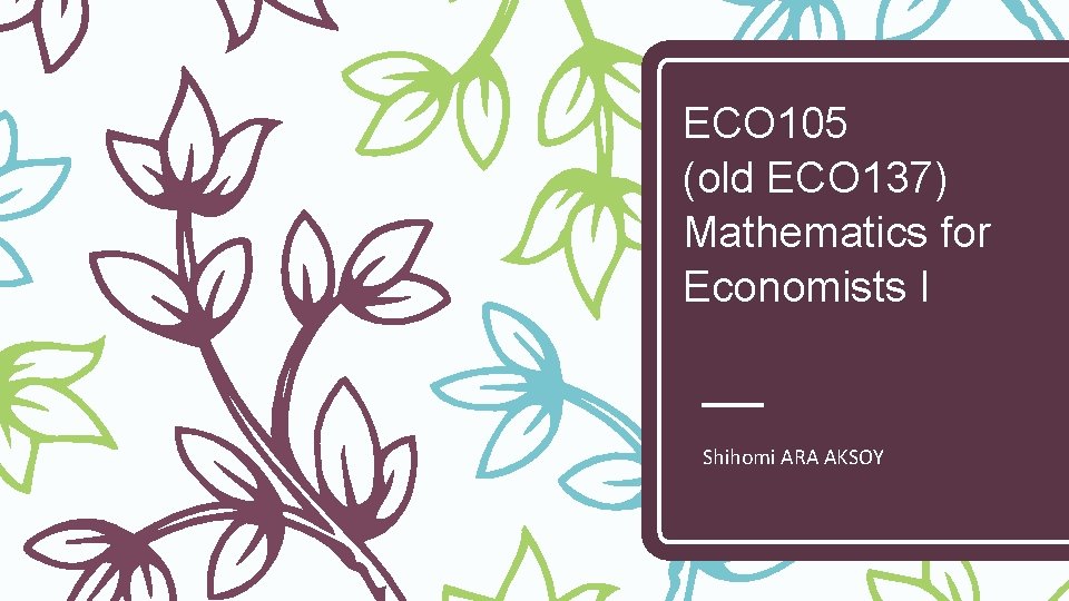 ECO 105 (old ECO 137) Mathematics for Economists I Shihomi ARA AKSOY 