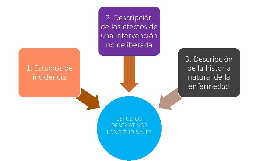 2. Descripción de los efectos de una intervención no deliberada 3. Descripción de la