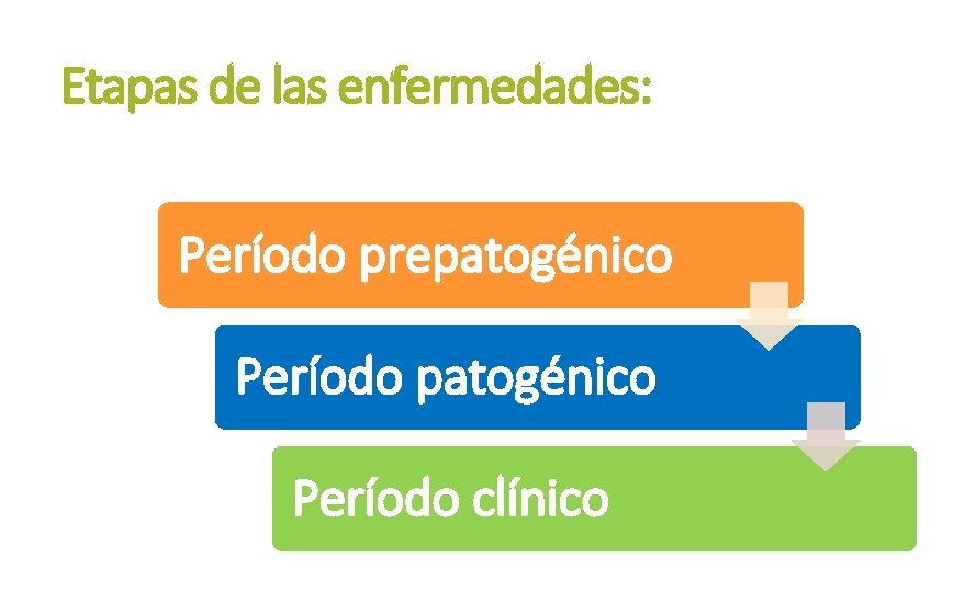 Etapas de las enfermedades: Período prepatogénico Período clínico 