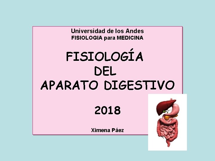 Universidad de los Andes FISIOLOGIA para MEDICINA FISIOLOGÍA DEL APARATO DIGESTIVO 2018 Ximena Páez