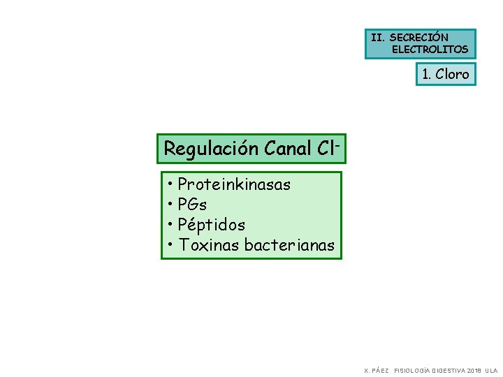 II. SECRECIÓN ELECTROLITOS 1. Cloro Regulación Canal Cl • Proteinkinasas • PGs • Péptidos