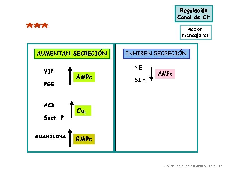 Regulación Canal de Cl- * ** Acción mensajeros AUMENTAN SECRECIÓN VIP PGE ACh Sust.