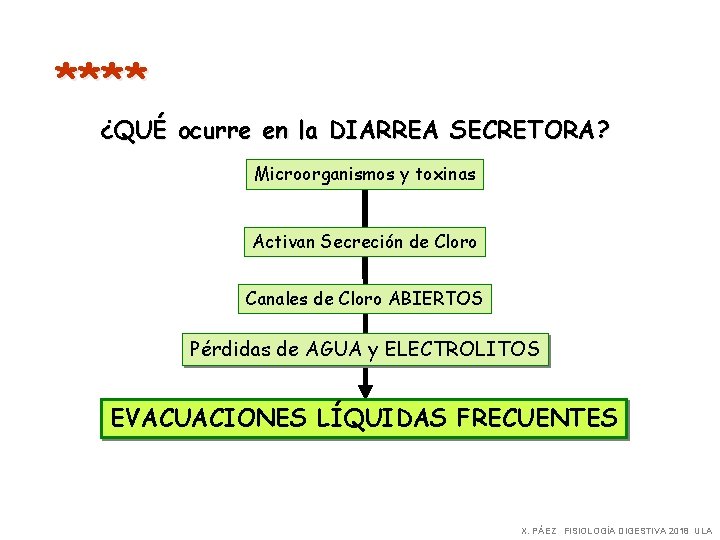 **** ¿QUÉ ocurre en la DIARREA SECRETORA? Microorganismos y toxinas Activan Secreción de Cloro