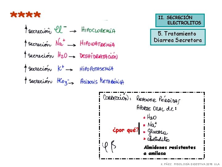 **** II. SECRECIÓN ELECTROLITOS 5. Tratamiento Diarrea Secretora ¿por qué? Almidones resistentes a amilasa