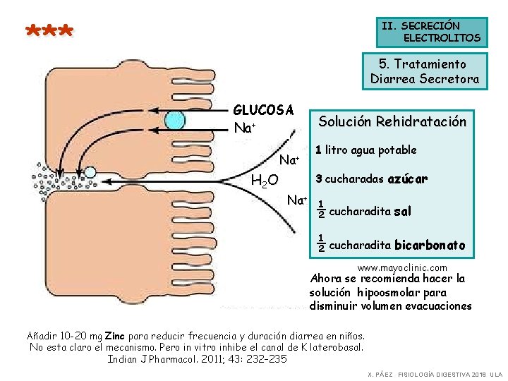 *** II. SECRECIÓN ELECTROLITOS 5. Tratamiento Diarrea Secretora GLUCOSA Na+ H 2 O Na+