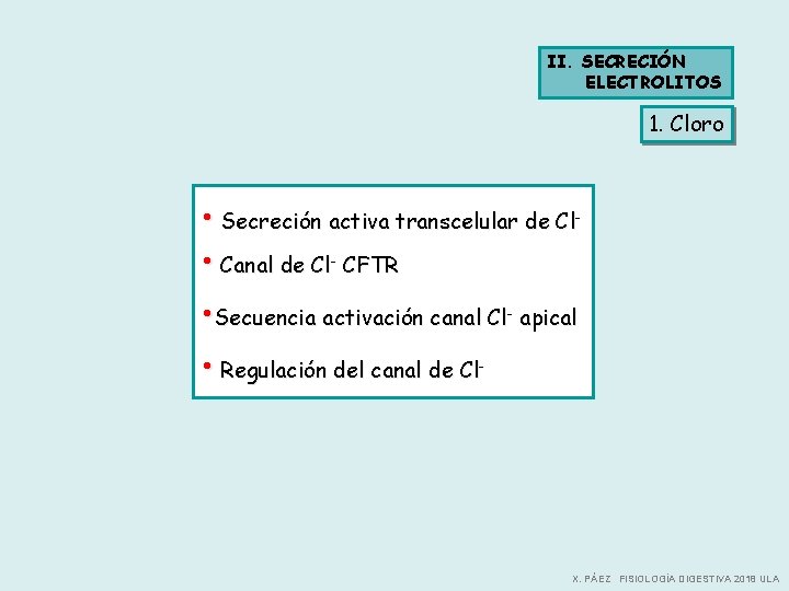 II. SECRECIÓN ELECTROLITOS 1. Cloro • Secreción activa transcelular de Cl • Canal de