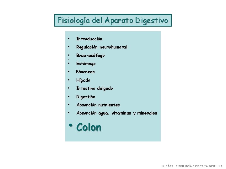 Fisiología del Aparato Digestivo • Introducción • Regulación neurohumoral • Boca-esófago • Estómago •