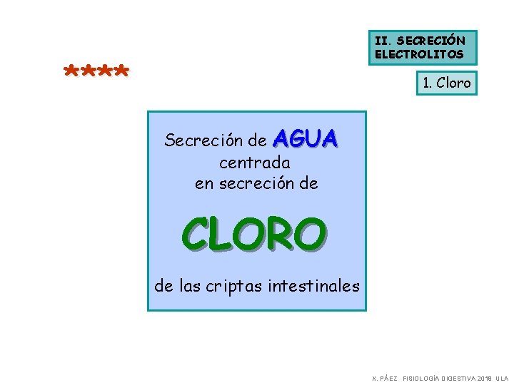 II. SECRECIÓN ELECTROLITOS **** 1. Cloro Secreción de AGUA centrada en secreción de CLORO