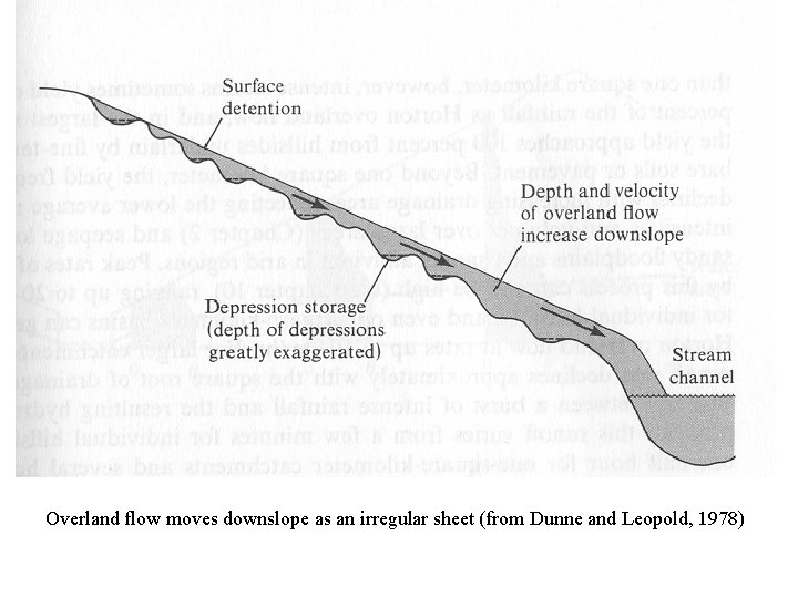 Overland flow moves downslope as an irregular sheet (from Dunne and Leopold, 1978) 