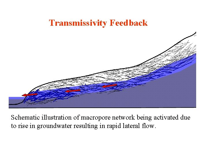 Transmissivity Feedback Schematic illustration of macropore network being activated due to rise in groundwater