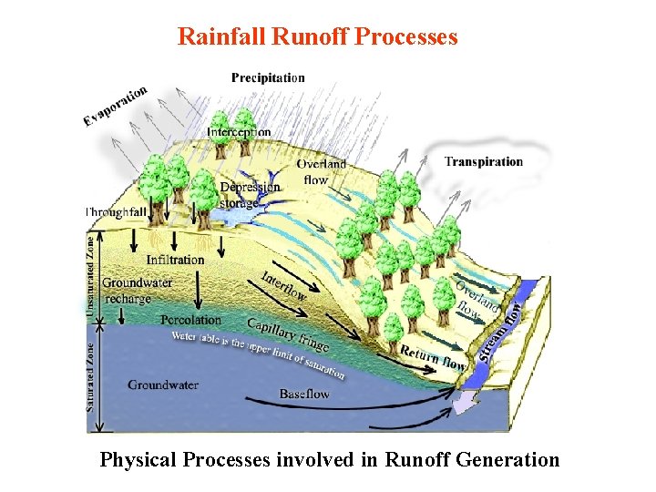 Rainfall Runoff Processes Physical Processes involved in Runoff Generation 