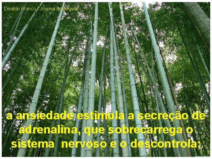 Divaldo Franco / Joanna de ngelis a ansiedade estimula a secreção de adrenalina, que