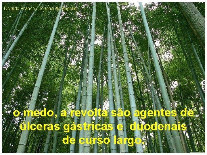 Divaldo Franco / Joanna de ngelis o medo, a revolta são agentes de úlceras