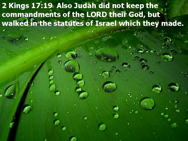 2 Kings 17: 19 Also Judah did not keep the commandments of the LORD