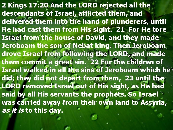 2 Kings 17: 20 And the LORD rejected all the descendants of Israel, afflicted