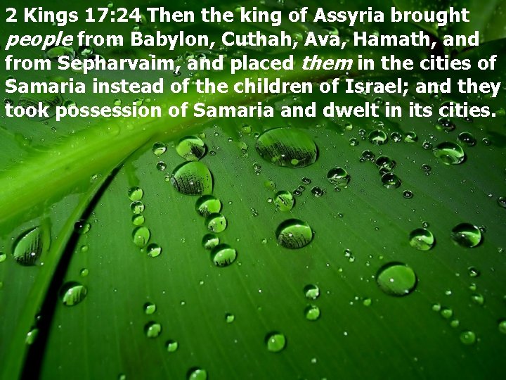 2 Kings 17: 24 Then the king of Assyria brought people from Babylon, Cuthah,
