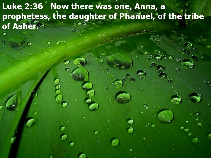 Luke 2: 36 Now there was one, Anna, a prophetess, the daughter of Phanuel,