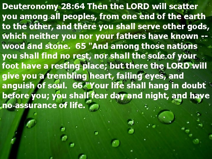 Deuteronomy 28: 64 Then the LORD will scatter you among all peoples, from one