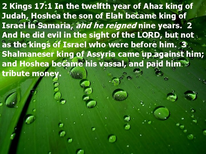 2 Kings 17: 1 In the twelfth year of Ahaz king of Judah, Hoshea