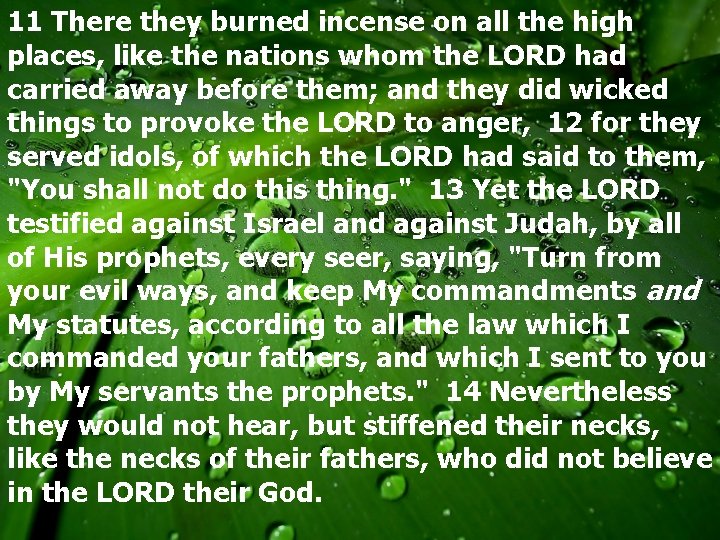 11 There they burned incense on all the high places, like the nations whom