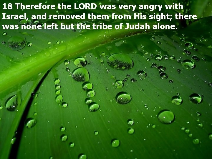 2 Kings 17 2 Kings 17 1 In