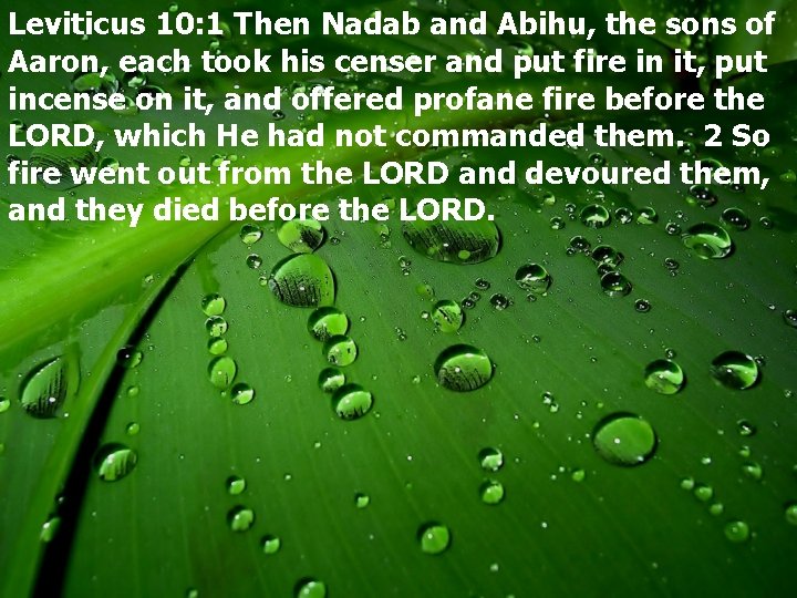 Leviticus 10: 1 Then Nadab and Abihu, the sons of Aaron, each took his