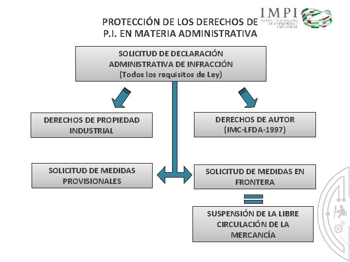 PROTECCIÓN DE LOS DERECHOS DE P. I. EN MATERIA ADMINISTRATIVA SOLICITUD DE DECLARACIÓN ADMINISTRATIVA