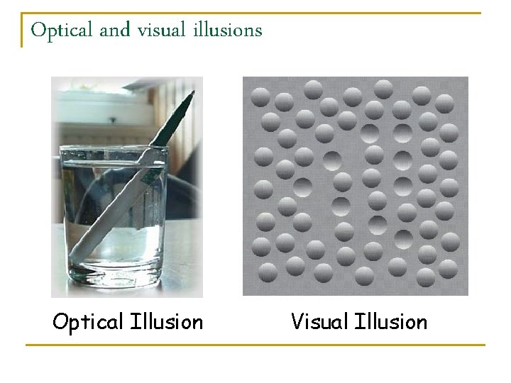 Optical and visual illusions Optical Illusion Visual Illusion 