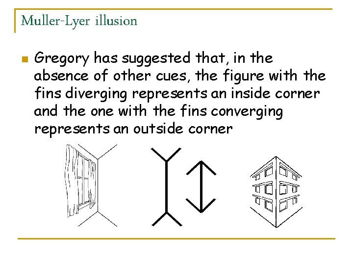 Muller-Lyer illusion n Gregory has suggested that, in the absence of other cues, the