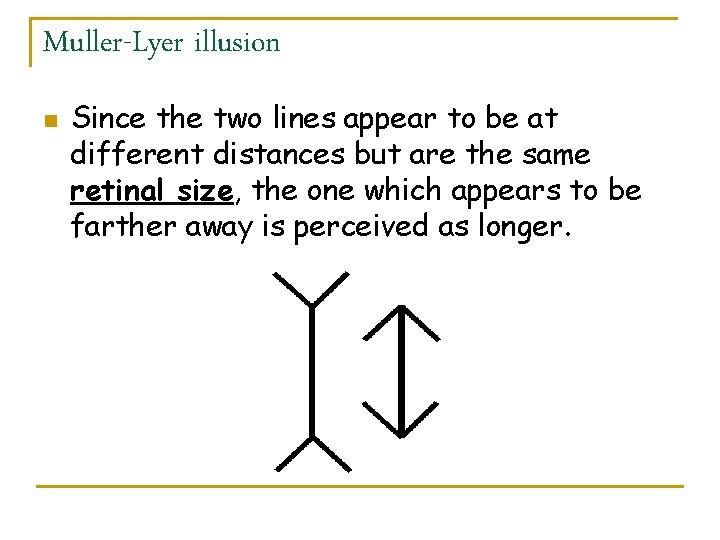 Muller-Lyer illusion n Since the two lines appear to be at different distances but