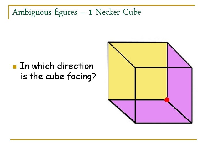 Ambiguous figures – 1 Necker Cube n In which direction is the cube facing?