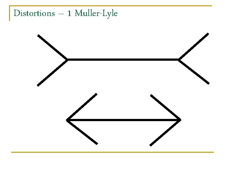 Distortions – 1 Muller-Lyle 