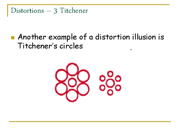 Distortions – 3 Titchener n Another example of a distortion illusion is Titchener’s circles