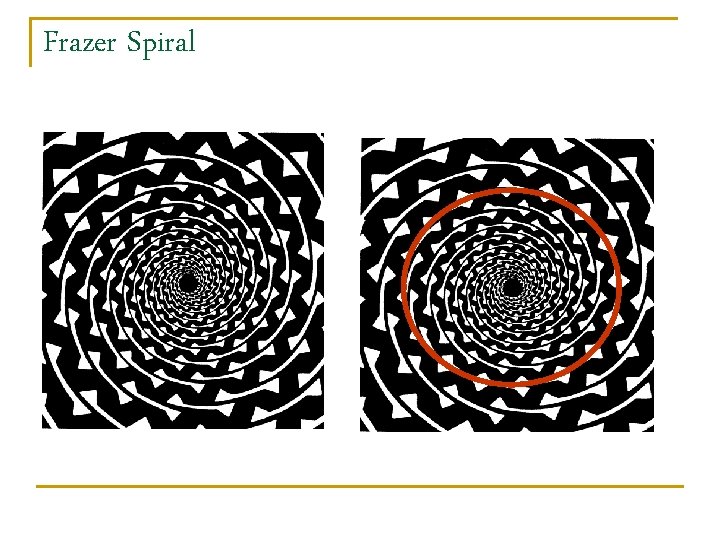 Frazer Spiral 
