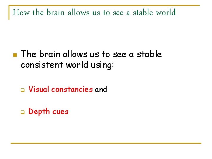 How the brain allows us to see a stable world n The brain allows