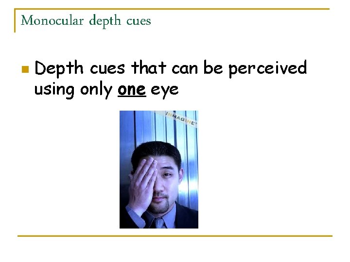 Monocular depth cues n Depth cues that can be perceived using only one eye