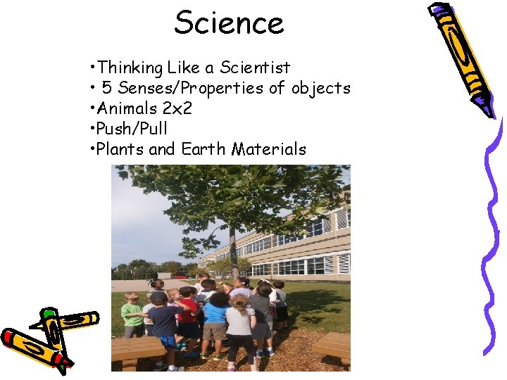 Science • Thinking Like a Scientist • 5 Senses/Properties of objects • Animals 2