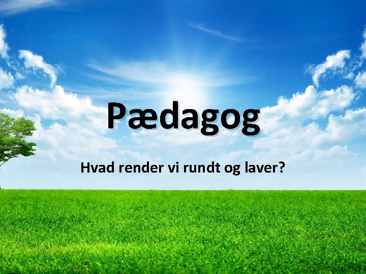 Pædagog Hvad render vi rundt og laver? 