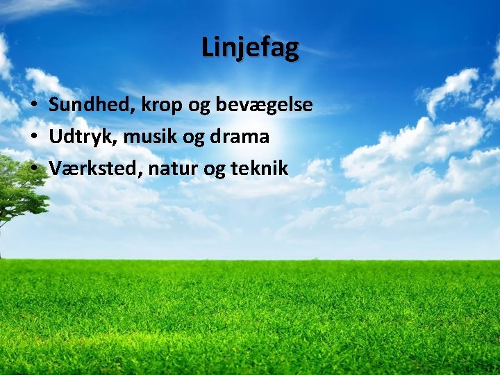 Linjefag • Sundhed, krop og bevægelse • Udtryk, musik og drama • Værksted, natur