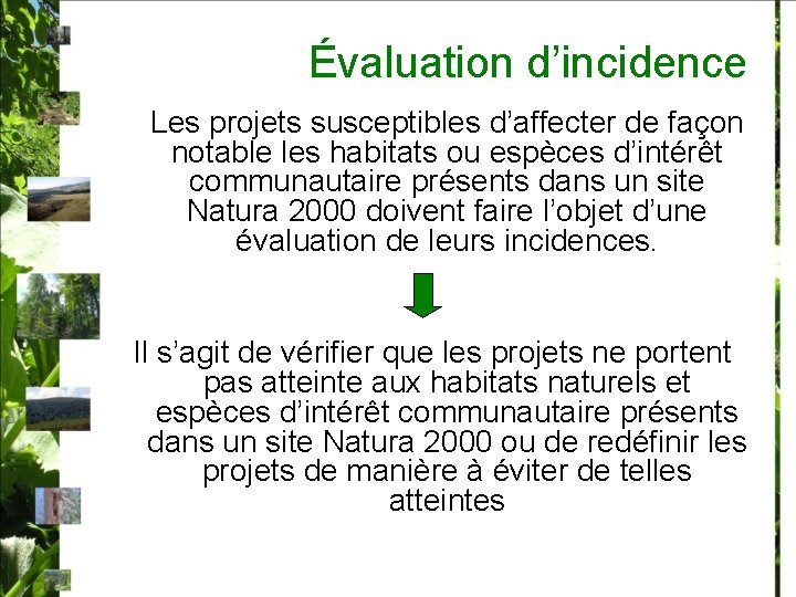 Évaluation d’incidence Les projets susceptibles d’affecter de façon notable les habitats ou espèces d’intérêt