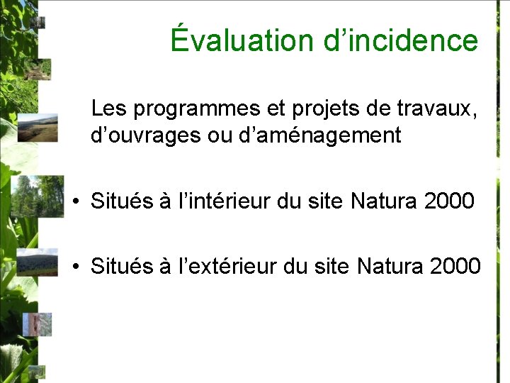 Évaluation d’incidence Les programmes et projets de travaux, d’ouvrages ou d’aménagement • Situés à