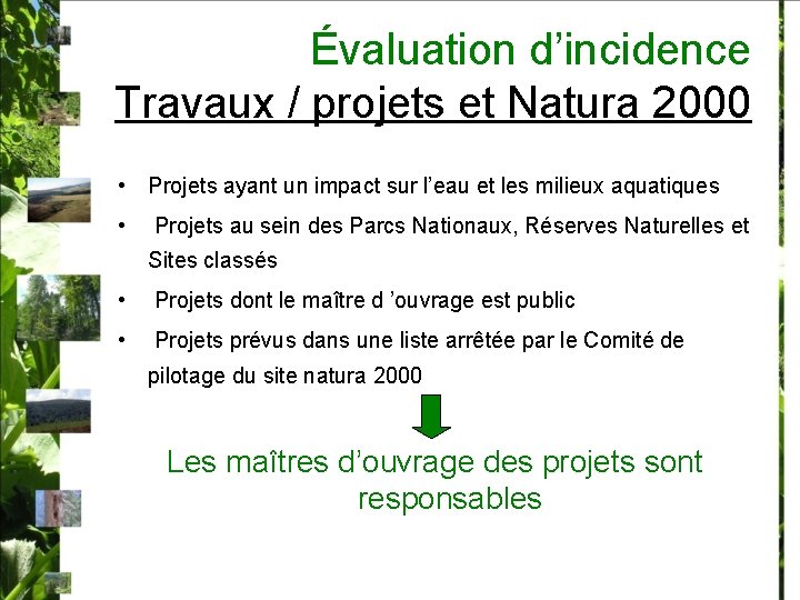 Évaluation d’incidence Travaux / projets et Natura 2000 • Projets ayant un impact sur