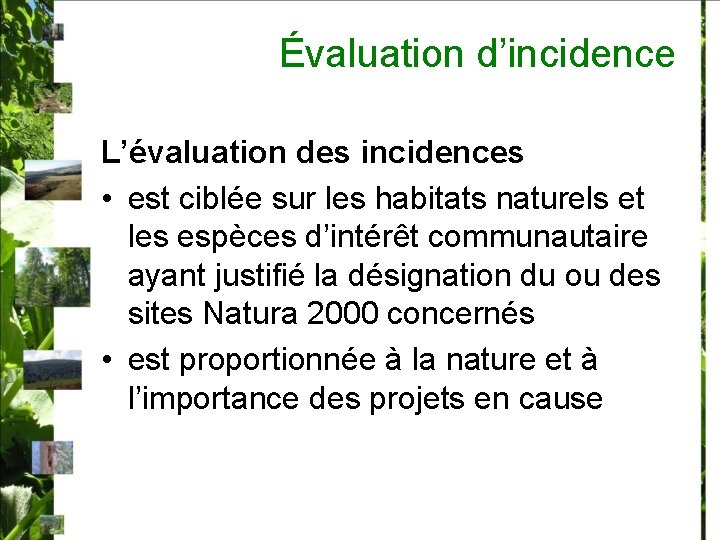 Évaluation d’incidence L’évaluation des incidences • est ciblée sur les habitats naturels et les