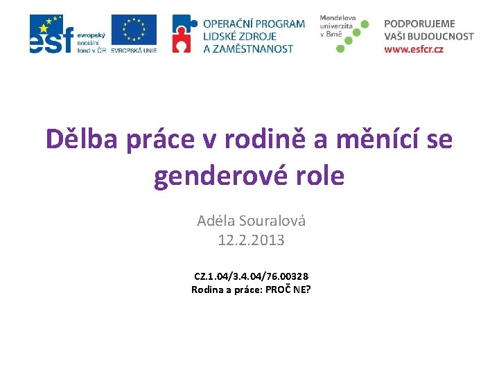 Dělba práce v rodině a měnící se genderové role Adéla Souralová 12. 2. 2013