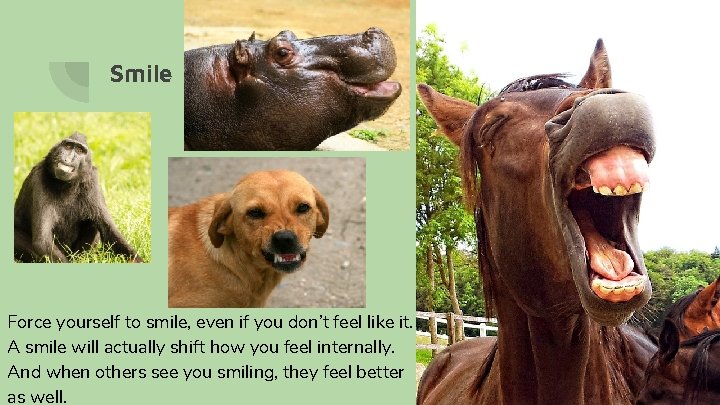 Smile Force yourself to smile, even if you don’t feel like it. A smile Smile Force yourself to smile, even if you don’t feel like it. A smile