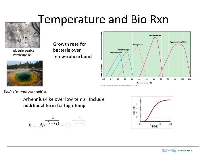 Temperature and Bio Rxn Algae in sea ice Psychrophile Growth rate for bacteria over