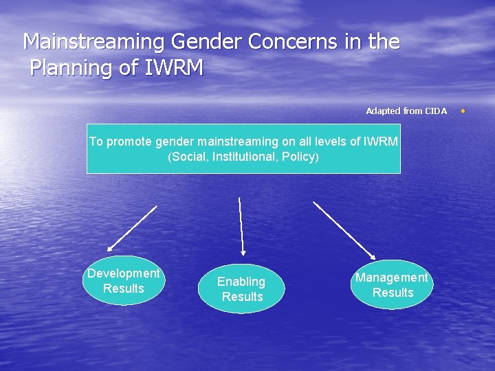 Mainstreaming Gender Concerns in the Planning of IWRM Adapted from CIDA To promote gender
