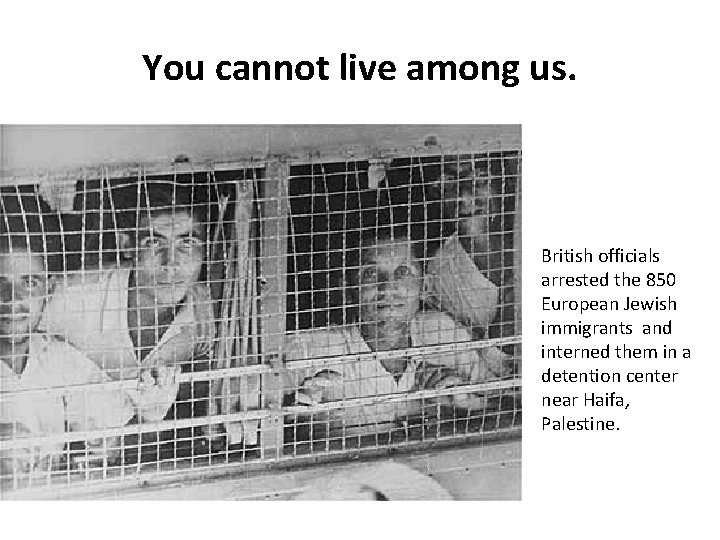 You cannot live among us. British officials arrested the 850 European Jewish immigrants and You cannot live among us. British officials arrested the 850 European Jewish immigrants and