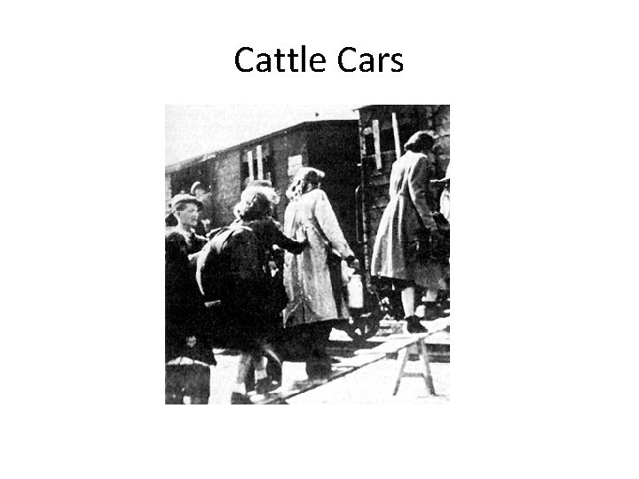 Cattle Cars Cattle Cars