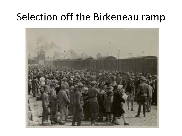 Selection off the Birkeneau ramp Selection off the Birkeneau ramp